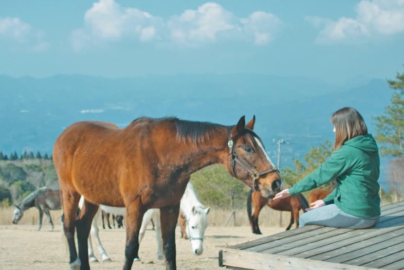 Spending time with the Horses-3