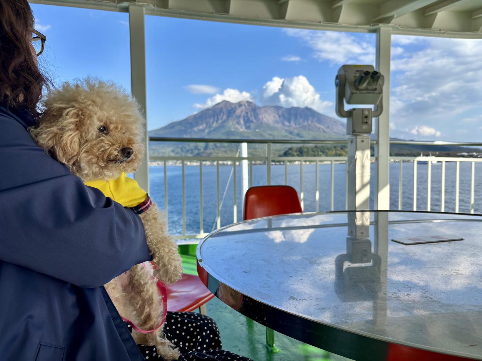 ペット・愛犬と楽しむ鹿児島旅行！-2