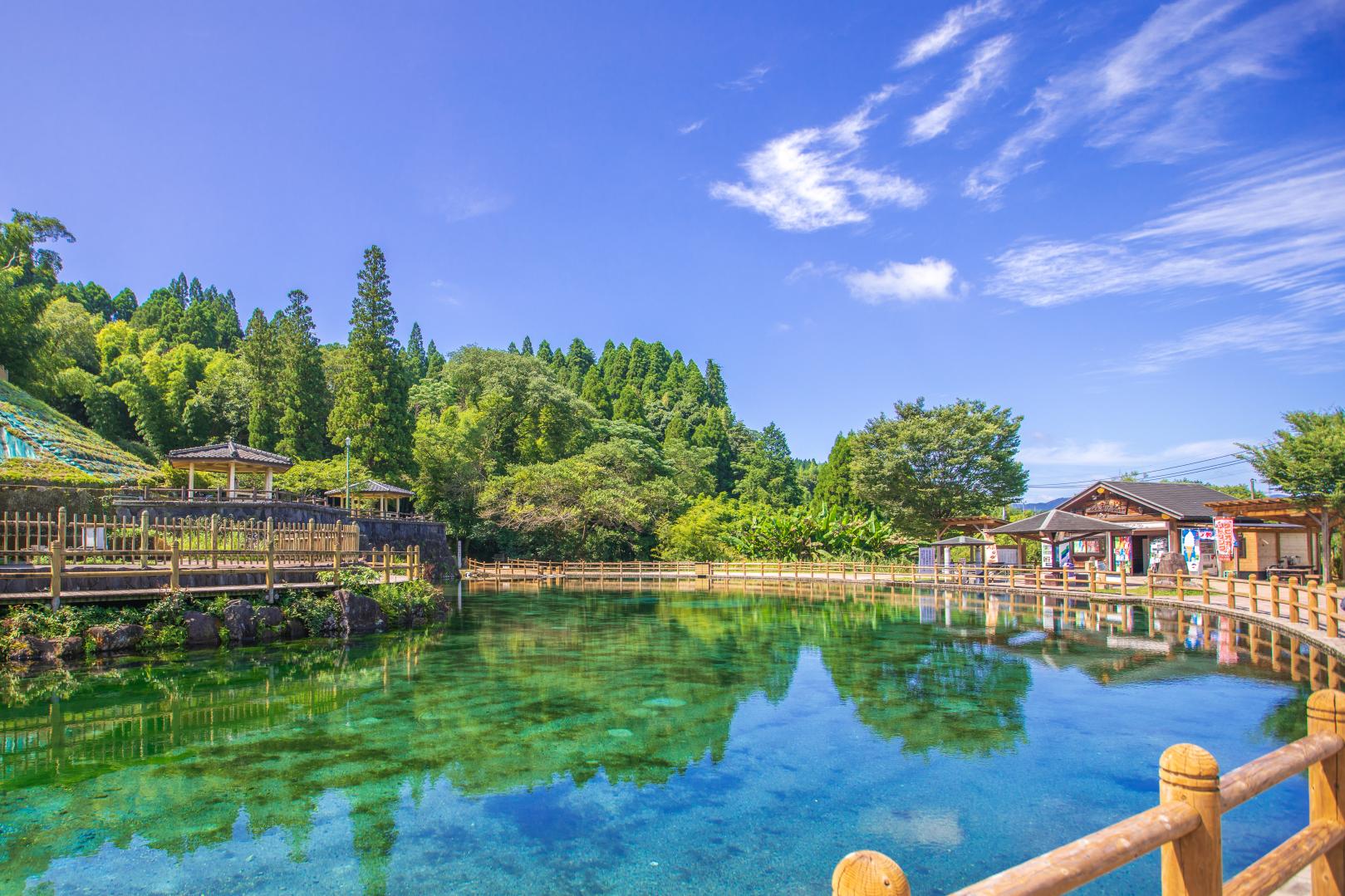 丸池湧水-1