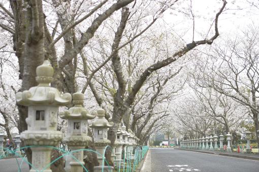 知覧平和公園-1